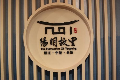 2020年浙江中华文化海外传播促进会暨海外媒体培训班圆满结束 养正文化传媒助力中华文化远播